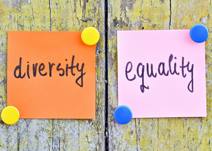 The Importance of Diversity and Inclusion Building a More Inclusive Society