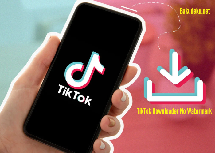 TikTok Downloader No Watermark